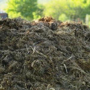 Enriched Farm Yard Manure