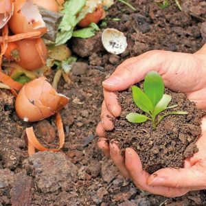 Farm Bio Compost
